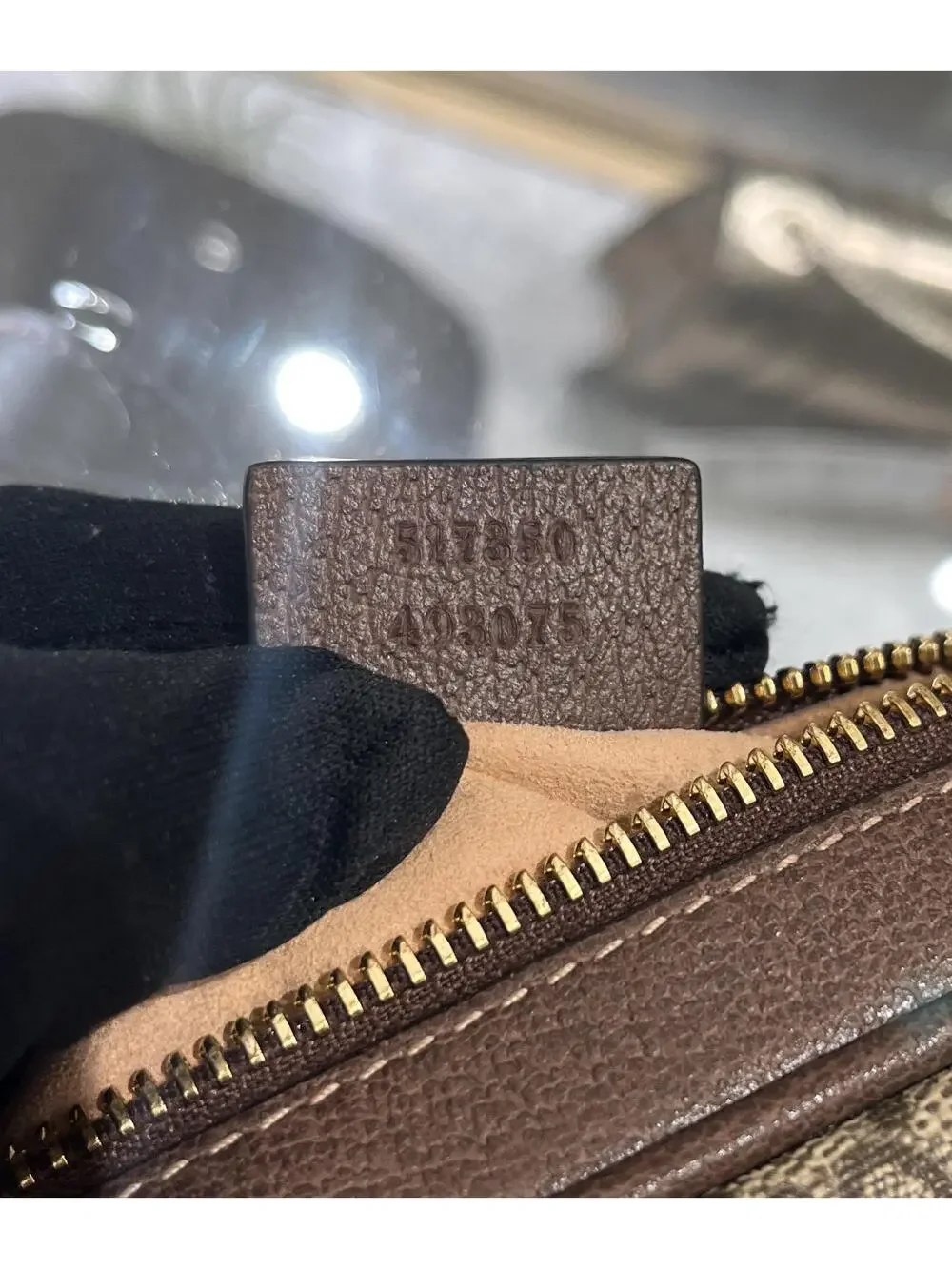 Gucci elevate your